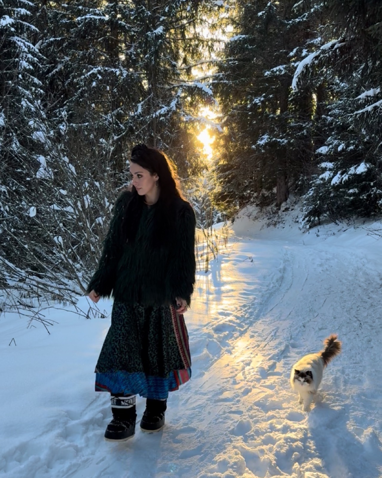 Adventures